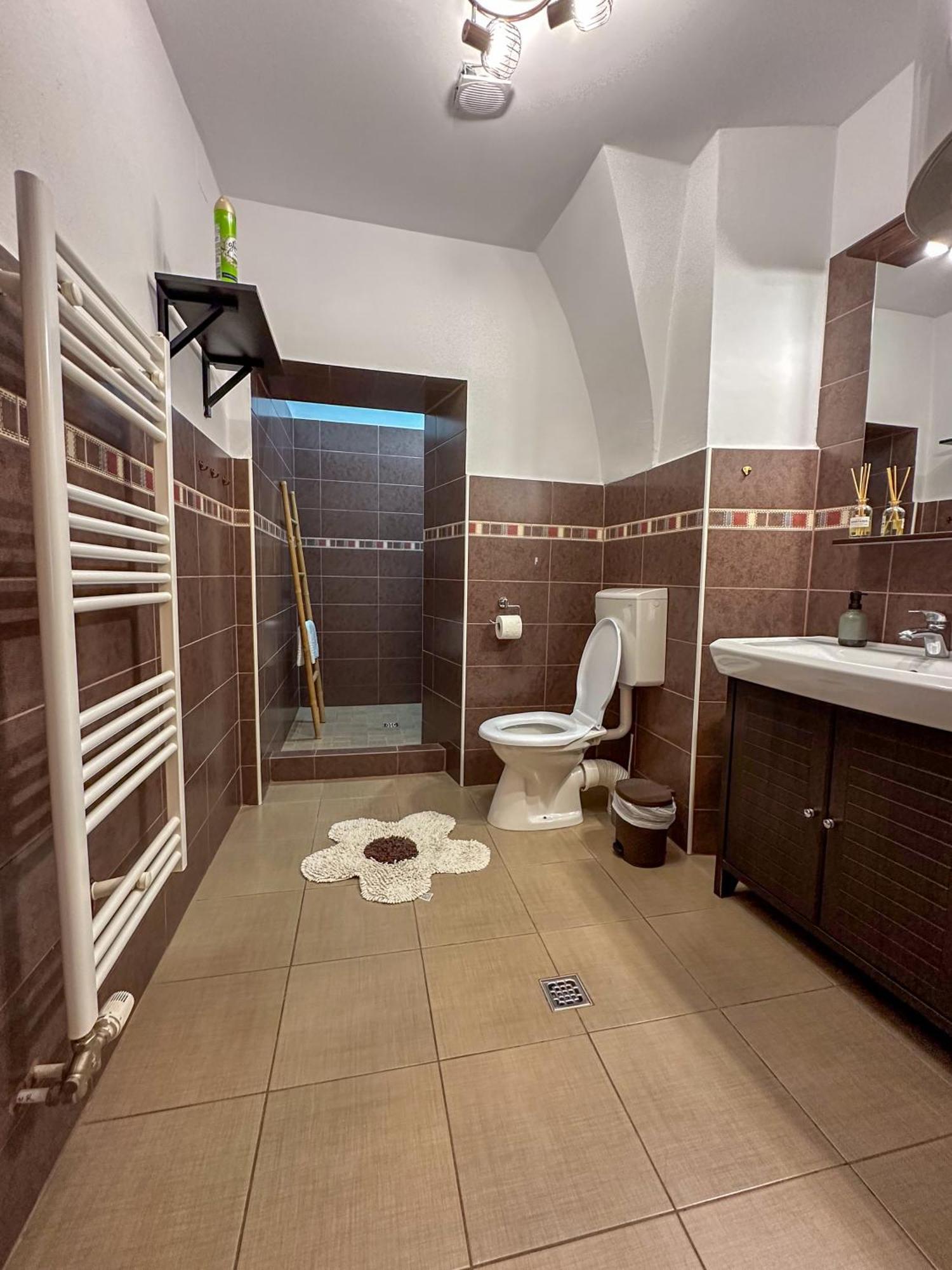 Serenity House Apartments سيبيو الغرفة الصورة